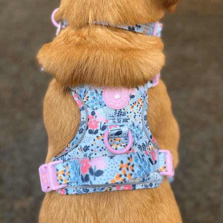 Floral Dog Harness - Colour Drops - Spring Dreams: M