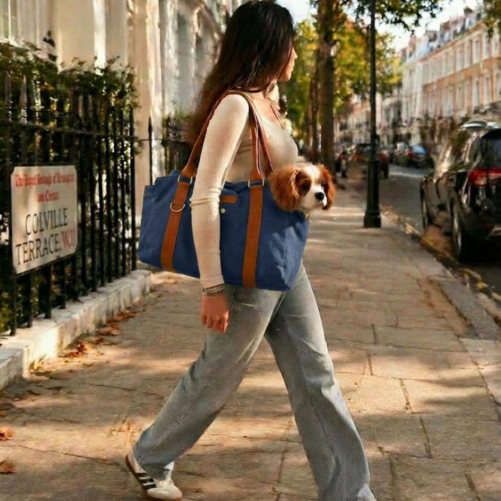 Stylish Dog Bag - Blue: Default Title