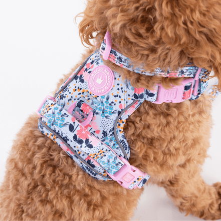 Floral Dog Harness - Colour Drops - Spring Dreams: L
