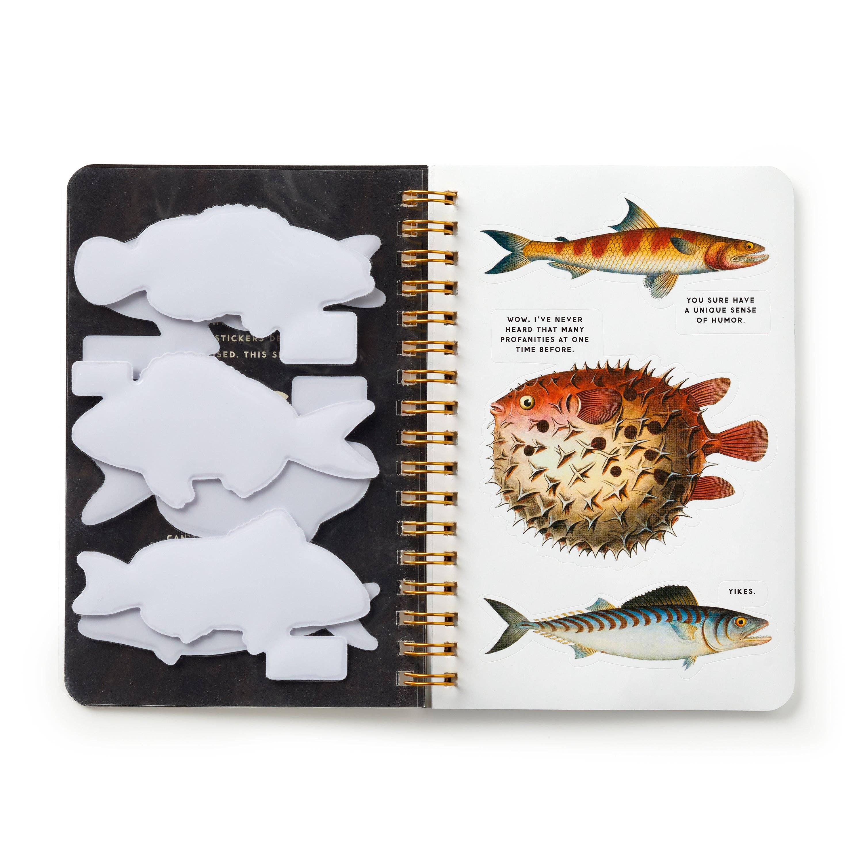 Judgy Fish Sticker Book (Sticker Book or Pack)