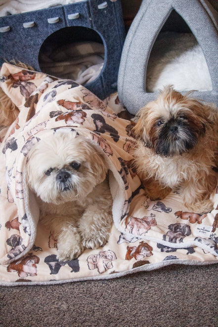 Shih Tzu Dog Blanket