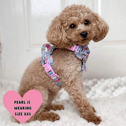 Floral Dog Harness - Colour Drops - Spring Dreams: M