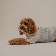 Ice Blue | Après Ski Roll Neck Knit: M