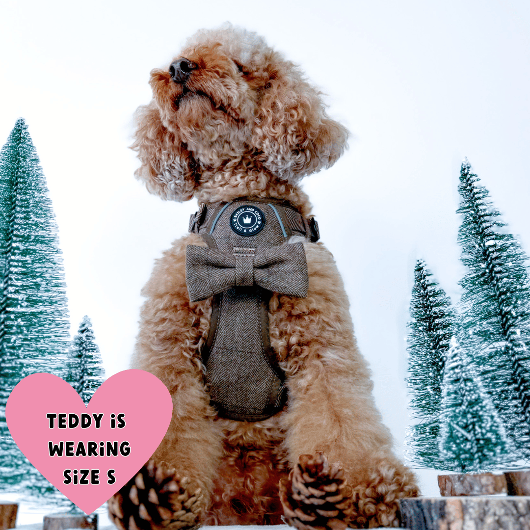 Trail & Glow Tweed Dog Harness - Oxford Tweed: M