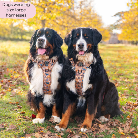 Disney© Tough Trails™ Harness - Disney Dogs: XS
