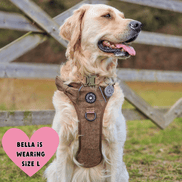 Trail & Glow Tweed Dog Harness - Oxford Tweed: M