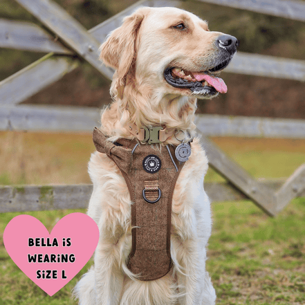 Trail & Glow Tweed Dog Harness - Oxford Tweed: M