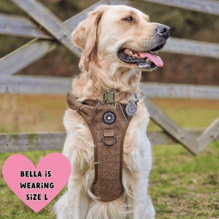 Trail & Glow Tweed Dog Harness - Oxford Tweed: M