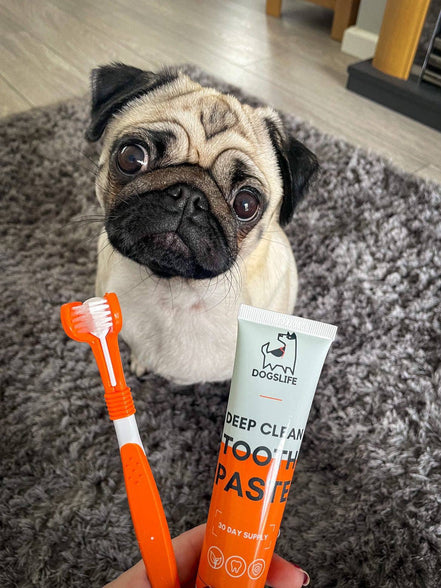 Dog Toothpaste and Toothbrush Set