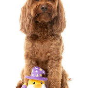 Sirius Quack - Dog Toy: Large