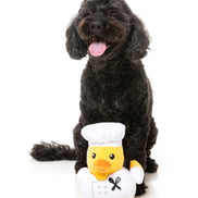 Gordon Quacksay - Dog Toy