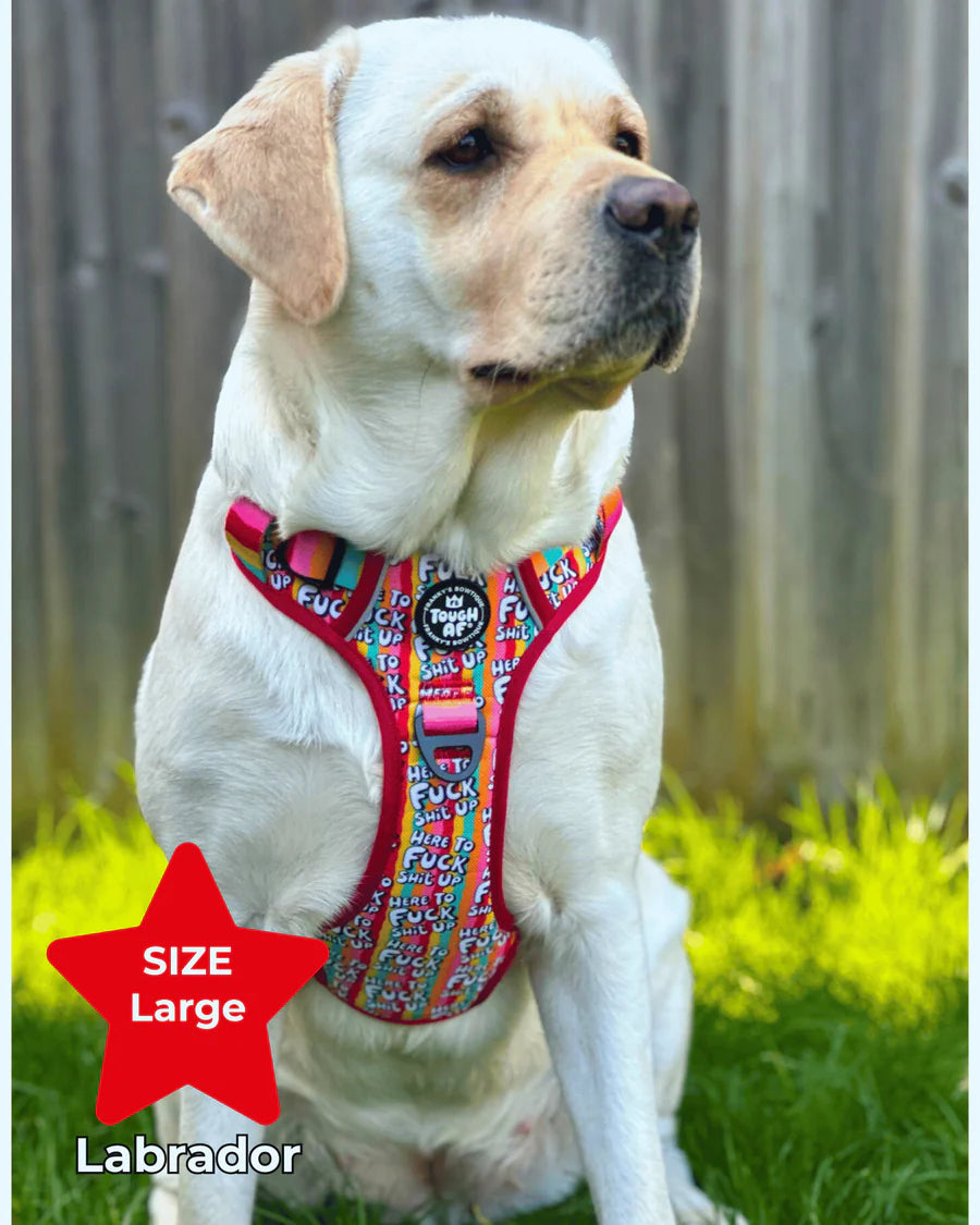 Tough AF® Harness - Here to fuck shit up