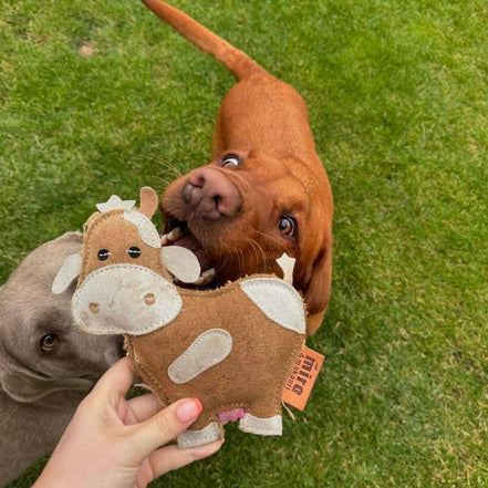 Eco Dog Toys By Miro & Makauri - Betsie Cow.: Betsie