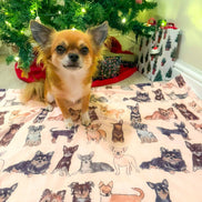 The Chihuahua Dog Blanket