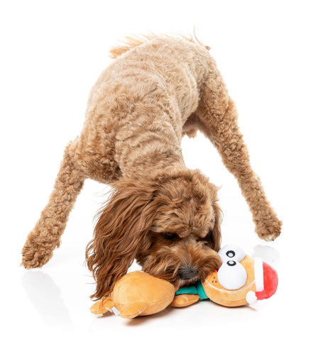 Monecka - The Turkey - Dog Toys