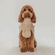 The Capsule Cosy Coat: XS