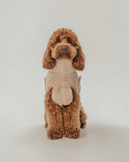 The Capsule Cosy Coat: M