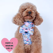 Floral Dog Harness - Colour Drops - Spring Dreams: L