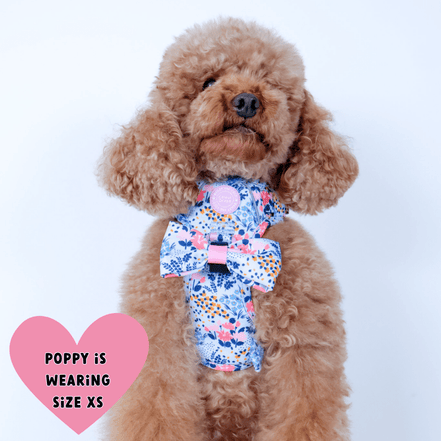Floral Dog Harness - Colour Drops - Spring Dreams: M