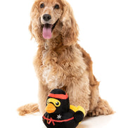 Quackie Chan - Dog Toy