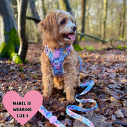 Floral Dog Harness - Colour Drops - Spring Dreams: L