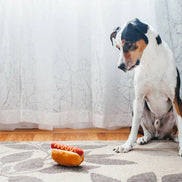 American Classic (Mini) Hot Dog XS