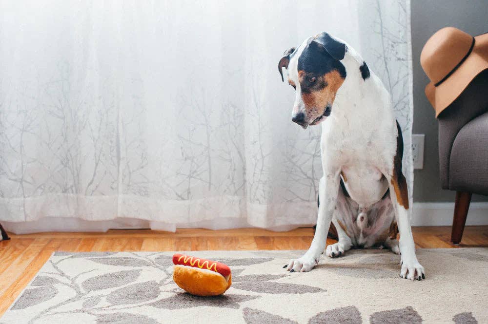 American Classic (Mini) Hot Dog XS