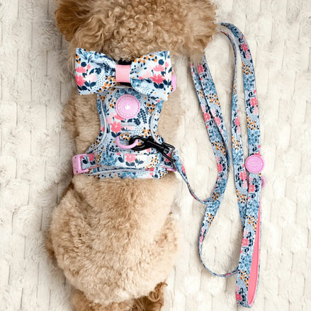 Bailey and Coco Trail & Glow Lightweight Mini Dog Lead 5ft - Colour Drops - Spring Dreams