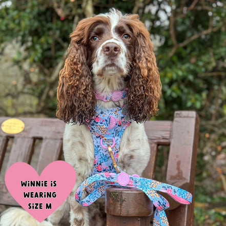 Floral Dog Harness - Colour Drops - Spring Dreams