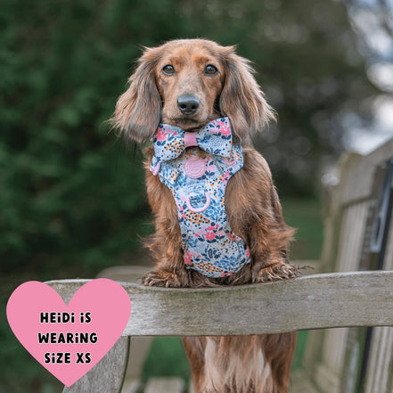 Floral Dog Harness - Colour Drops - Spring Dreams