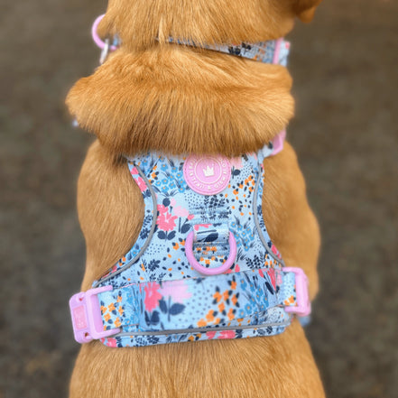 Floral Dog Harness - Colour Drops - Spring Dreams